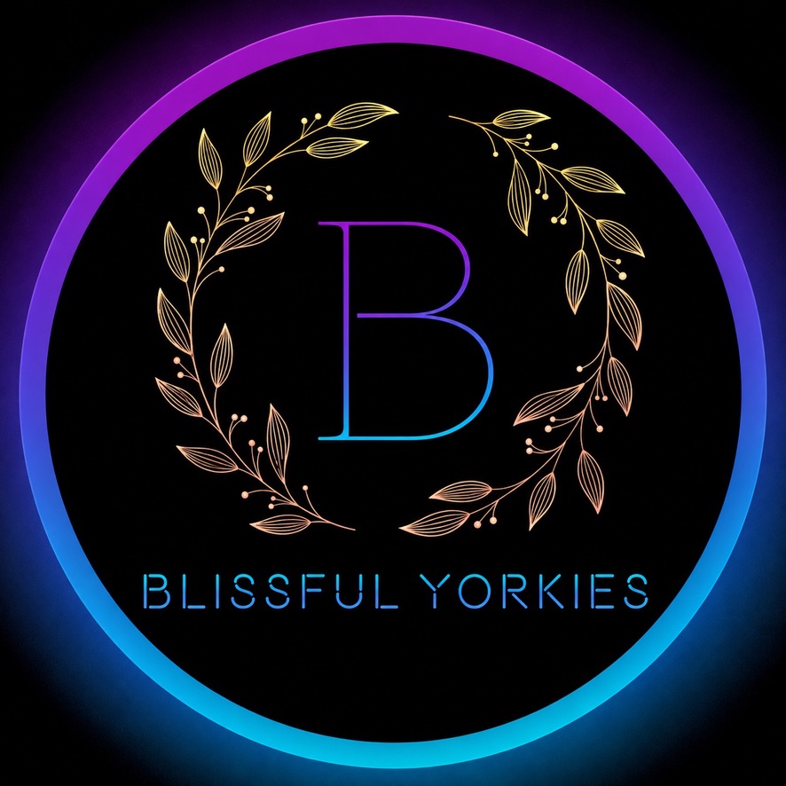 Blissful Yorkies logo